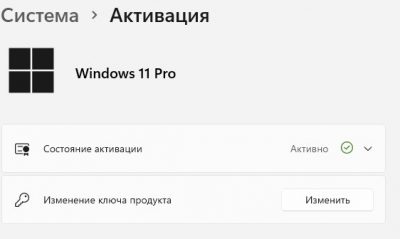 информация о лицензии Windows 11