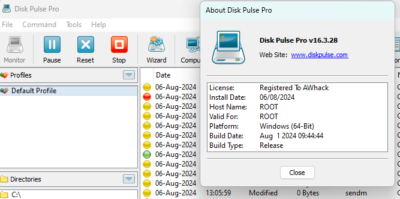 Disk Pulse Pro v16.3